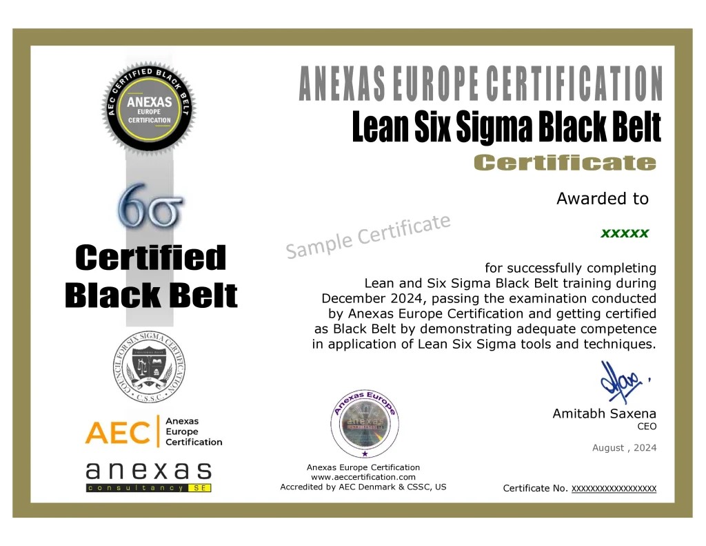 Lean Six Sigma Black Belt Course for certified Green Belts
