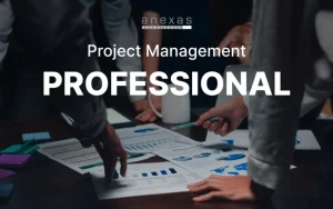 Project Management Professional